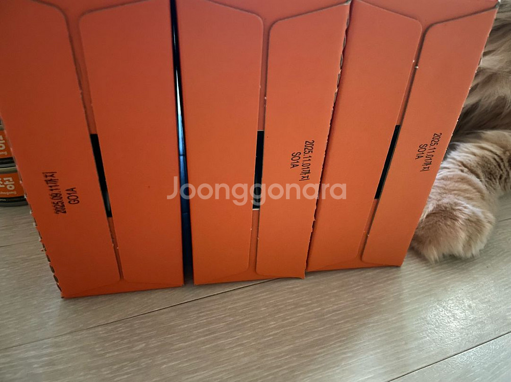 조공 필로캣 주식캔 박스--1