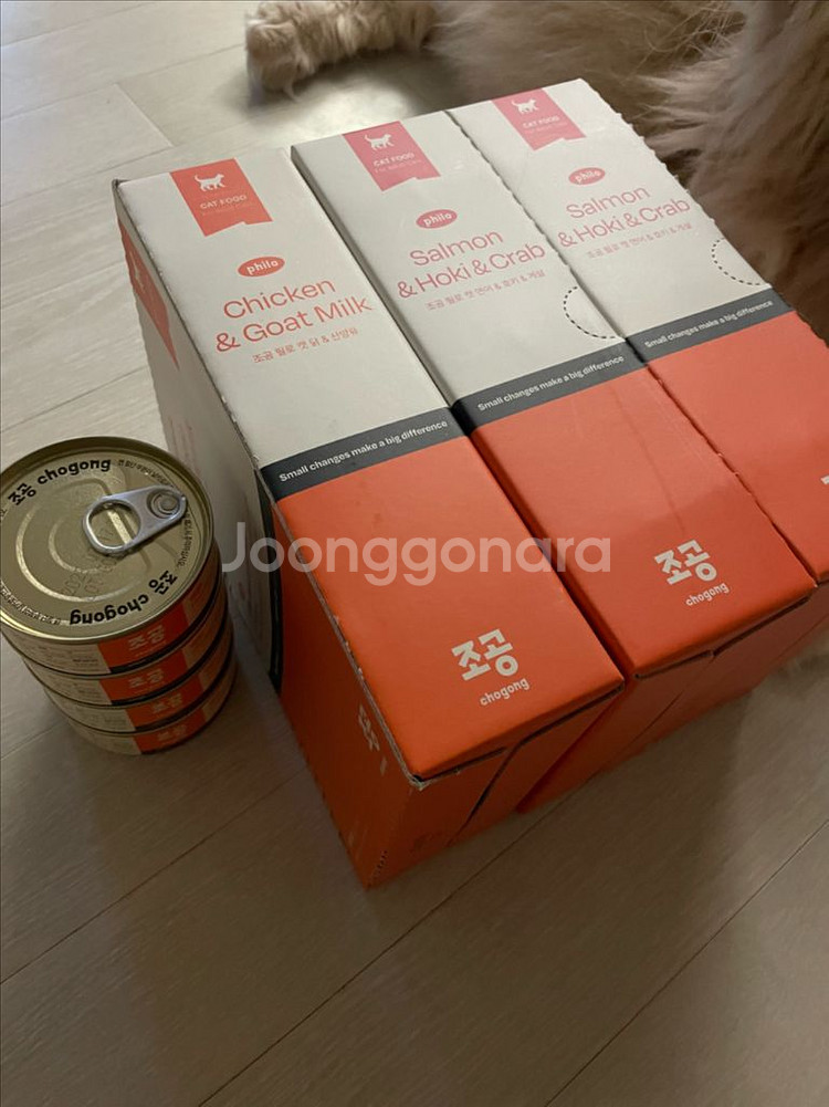조공 필로캣 주식캔 박스--0