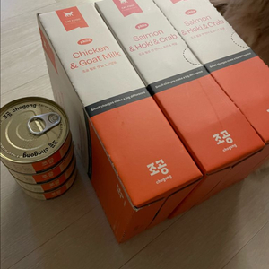 조공 필로캣 주식캔