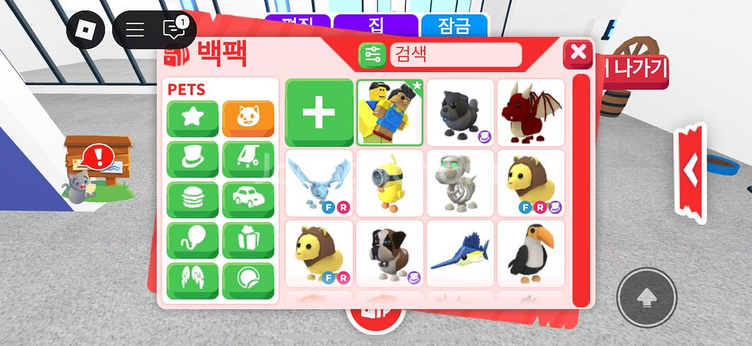 입양 펫 현거--0