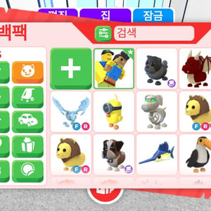 입양 펫 현거
