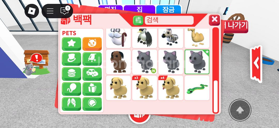 입양 펫 현거--2