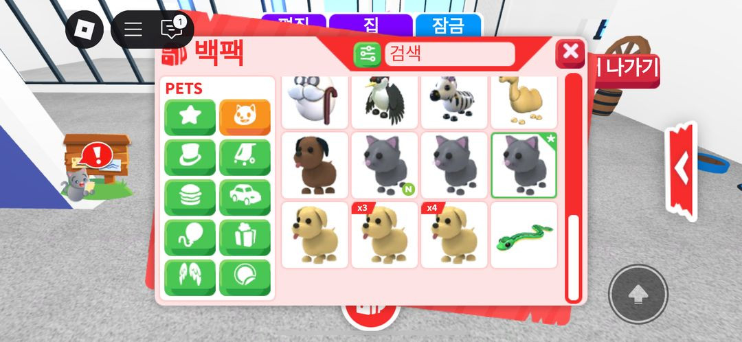 입양 펫 현거 이미지