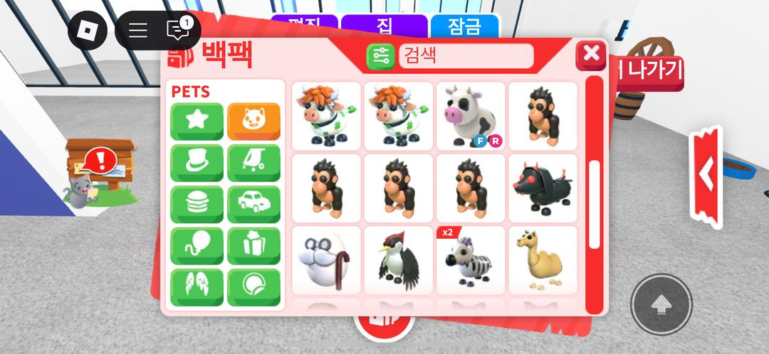 입양 펫 현거 이미지