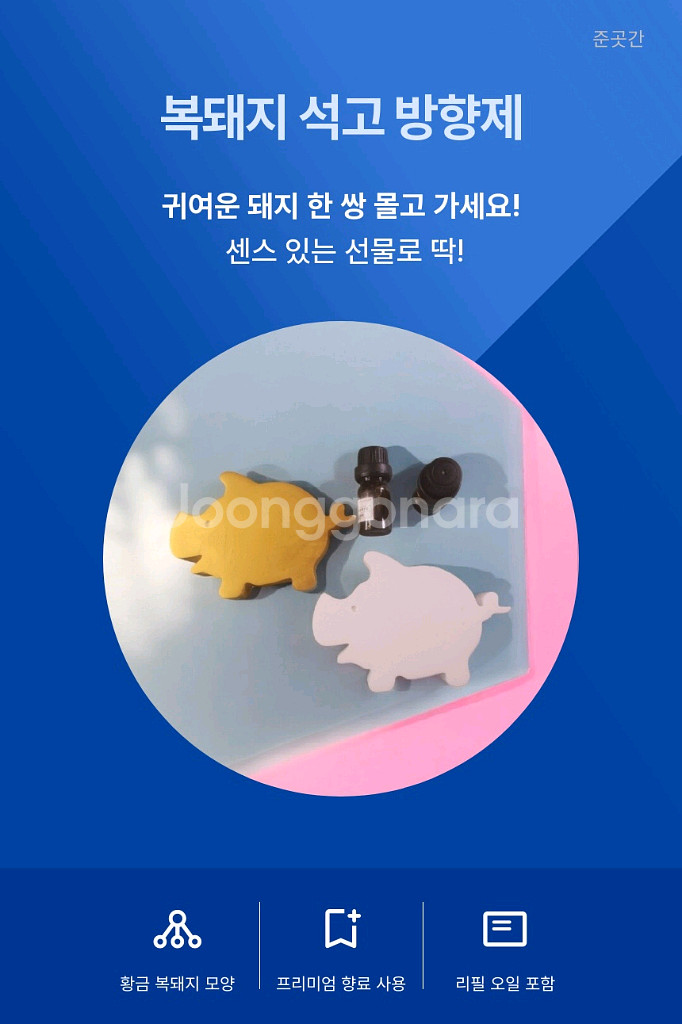 복 돼지 석고 방향제 2종 세트--0