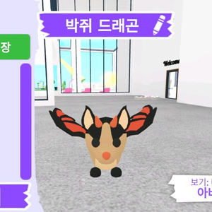 입양하세요 펫 박쥐 드래곤 판매합니다