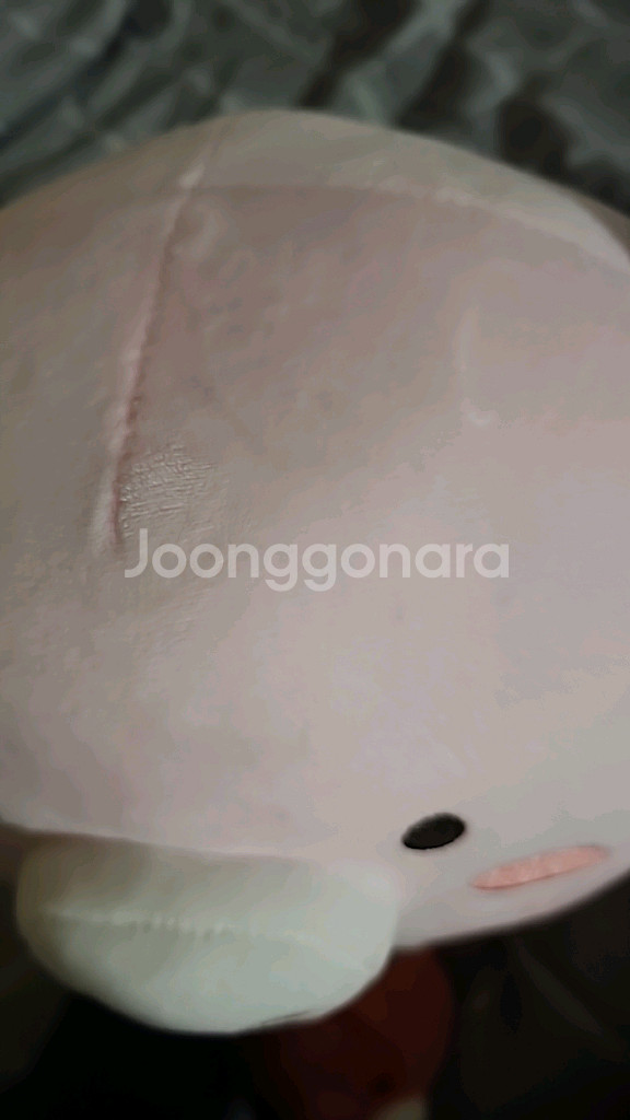 신협 어부바 인형--1