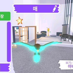 입양하세요 펫 메가네온 매 판매합니다