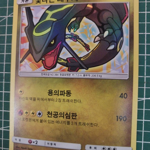 포켓몬카드 빛나는 레쿠쟈