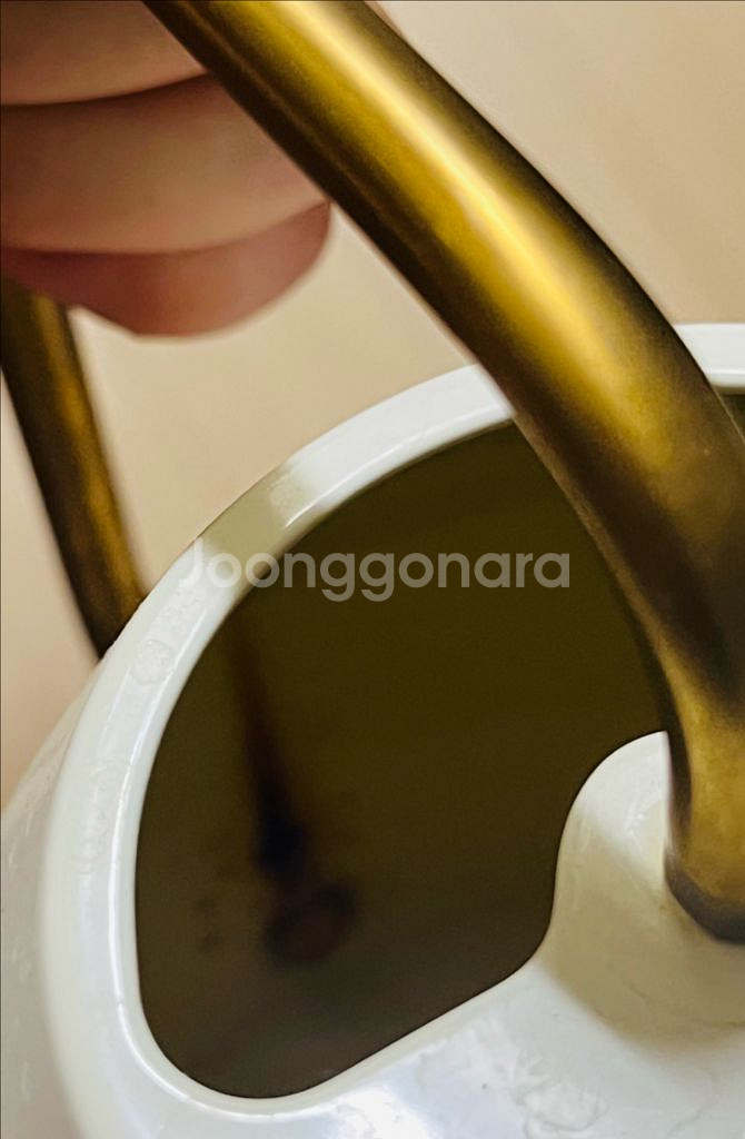 이케아 바텡크라세 물뿌리개 0.9L--5