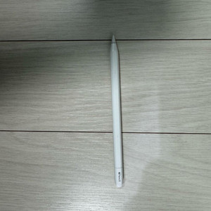애플펜슬 c타입