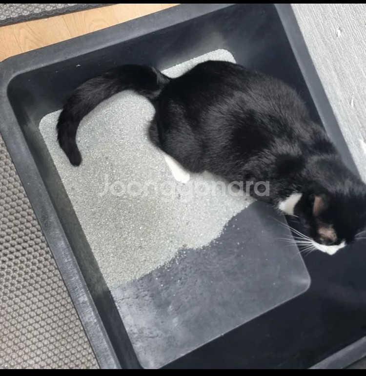 직사각 고무 다라, 화분, 고양이 배변판, 고무통--6