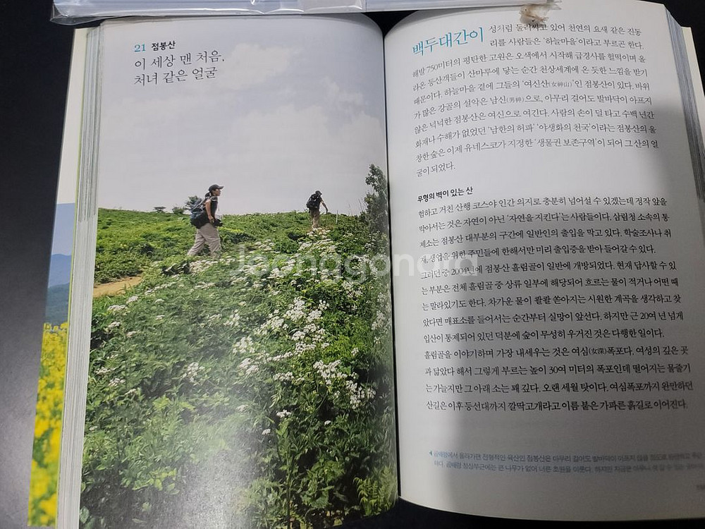 행복한 산행--4