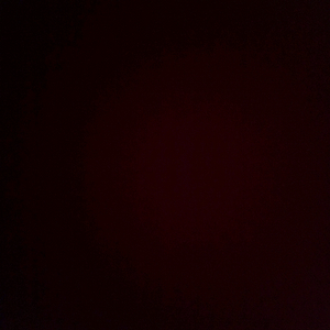 롯데리아 데리버거