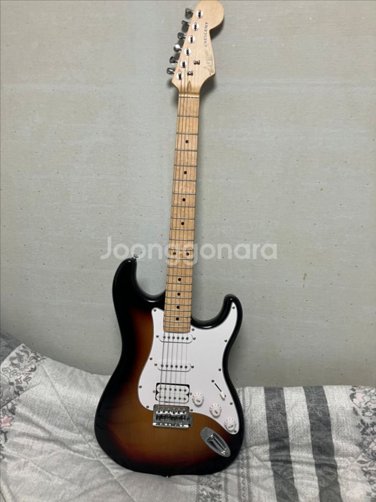 입문용 일렉기타--0