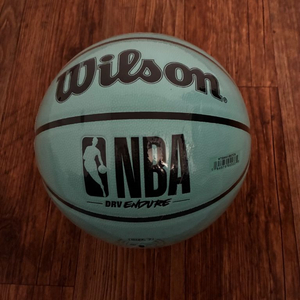 윌슨 NBA DRV ENDURE 농구공 7호(민트색)