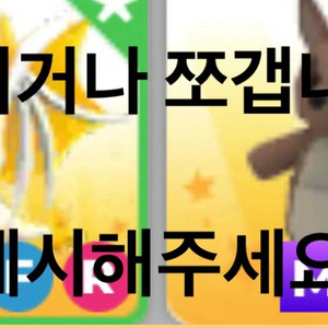 펫거 ㅍㅍㅍ 제시부탁드려요
