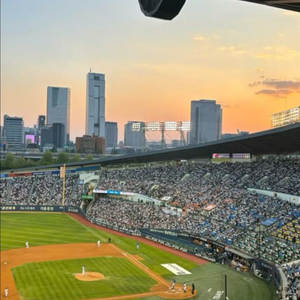 야구장티켓 6/8 기아 vs 한화 105구역 4인석