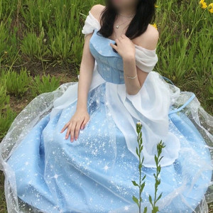졸업사진 디즈니 공주 신데렐라 드레스 대여 코스프레