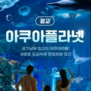 빠른답장 아쿠아플라넷 광교 종일권 모바일입장권