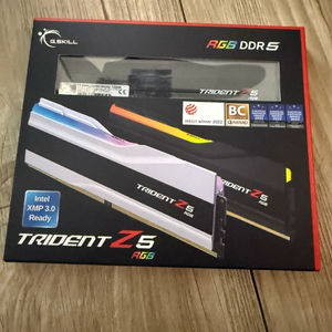 지스킬 TRIDENT Z5 DDR5-6400 CL32