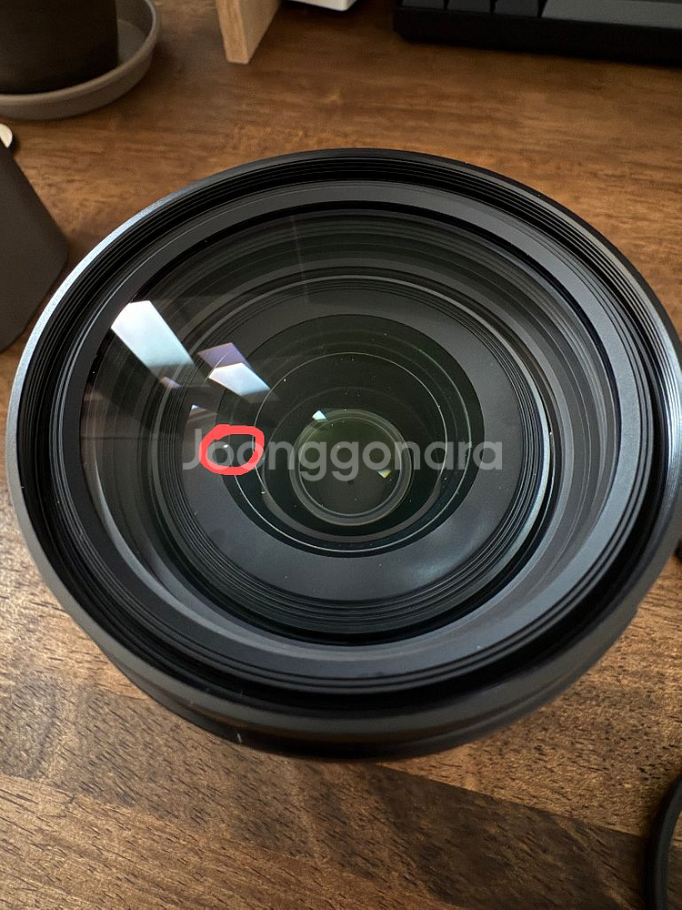 라이카 24-70mm 렌즈--6