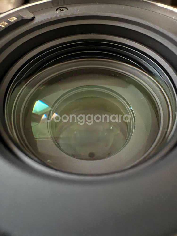 라이카 24-70mm 렌즈--7