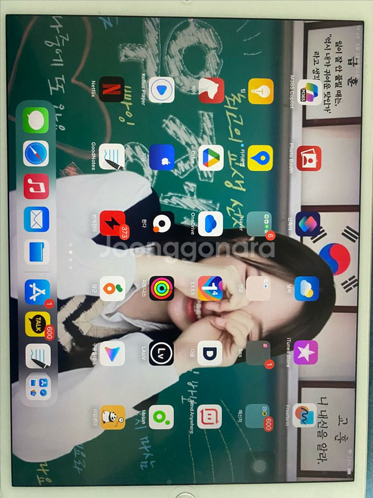 아이패드 프로 10.5 256기가--0