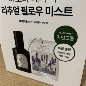 센티카 리추얼 필로우 미스트 기획세트(마인드풀)