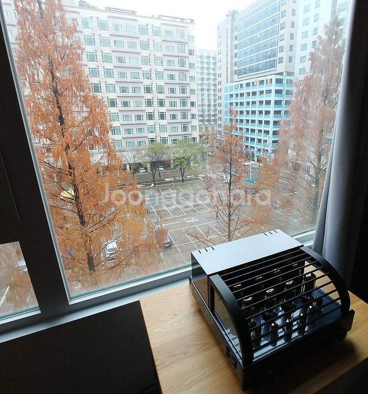 프리마루나 에보 400 진공관 앰프(전용박스 본관)--0