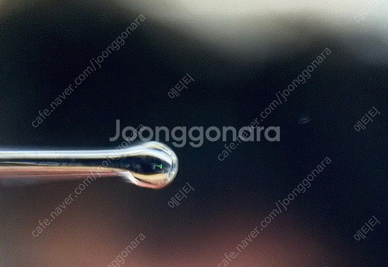 펠리칸 슈트레제만 m805 EF (재업)--4