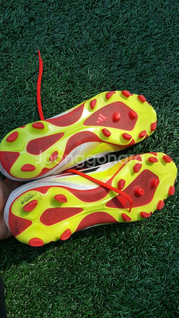 F50 mg 270--1