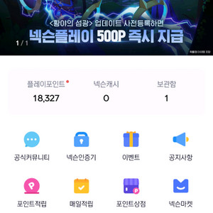 넥슨플레이포인트
