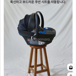 폴레드카시트