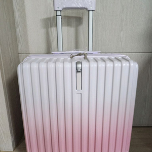 18인치 캐리어