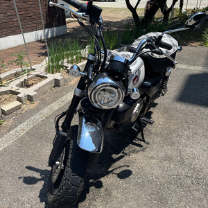 혼다 몽키125