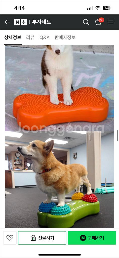 k9 fitbone 핏본--2
