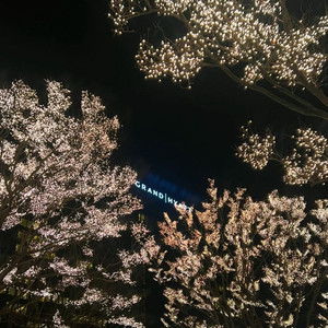 그랜드하얏트,파크하얏크 서울 안다즈강남 그랜드하얏트인천