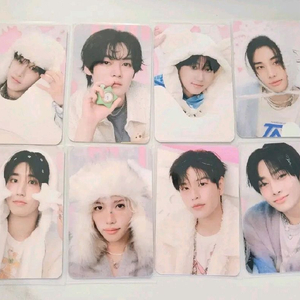스트레이키즈 스키즈 박테 포카