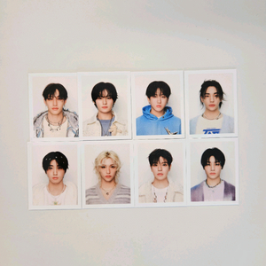 스트레이키즈 스키즈 증사