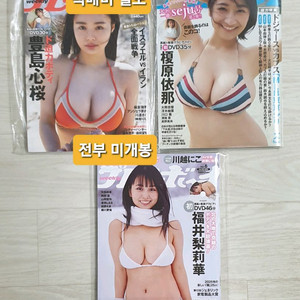 그라비아 DVD포함 일본 섹시잡지