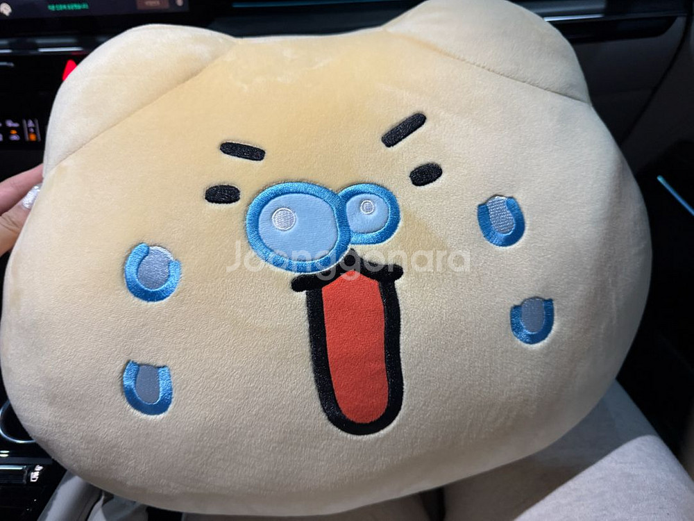 망그러진 곰 40cm 얼굴 쿠션 얼굴 인형--1