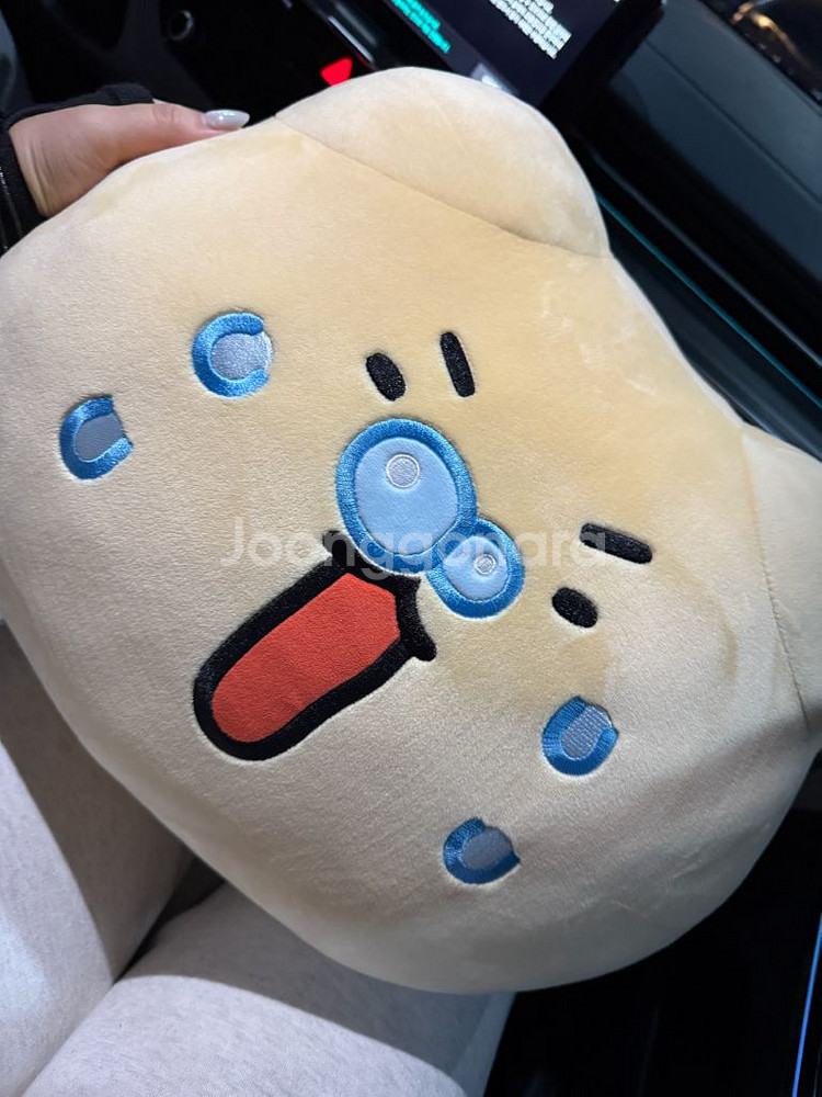 망그러진 곰 40cm 얼굴 쿠션 얼굴 인형--2