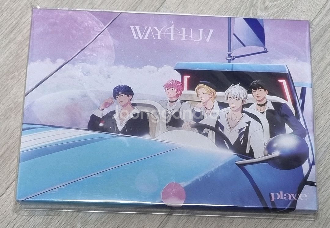 플레이브 PLAVE 의류 굿즈, 응원봉, 생일키트--9