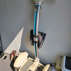 쉐그웨이 왕발통2대