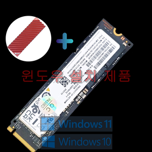 윈도우 설치 삼성 PM9A1 Gen4 SSD 512GB