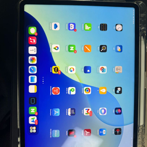 아이패드 프로 6세대 12.9 셀룰러 +펜슬