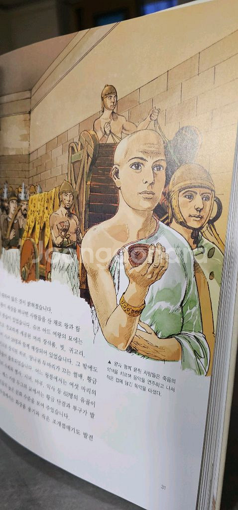택포)눈으로보는 세계35권 전집--2
