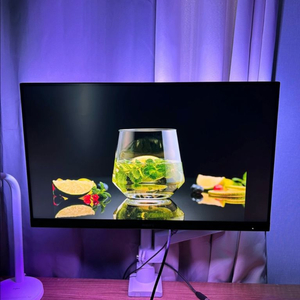 필립스 QHD Nano-IPS 27인치모니터170hz