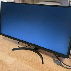 LG 34인치 울트라 와이드 모니터(34WL50S)